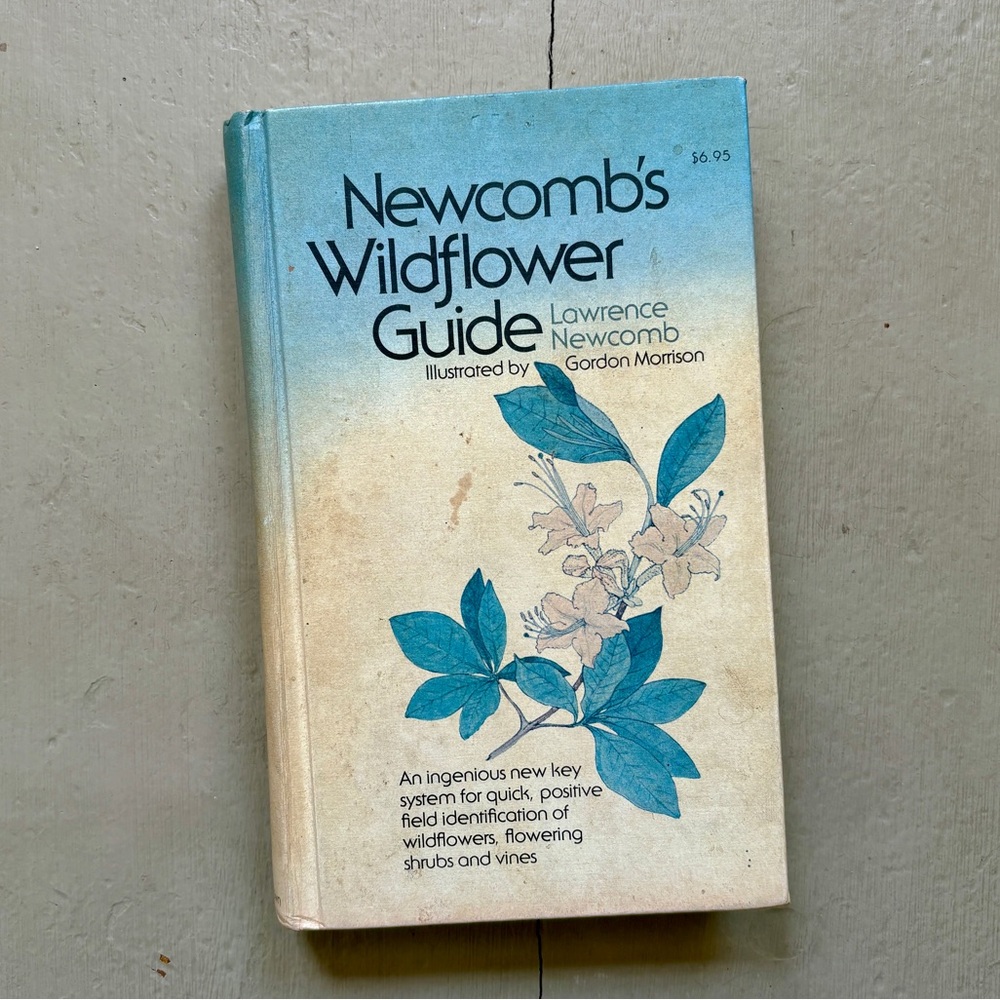 Signed 1977 Newcomb’s Wildflower Guide Flower Field Identification Shrubs Vines